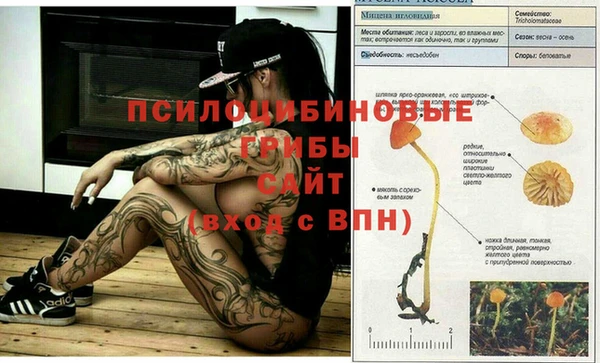 не бодяженный Армянск