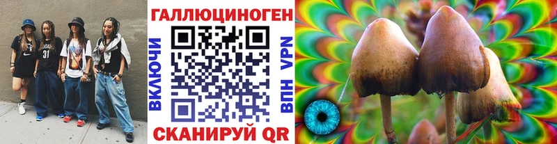 hydra ONION  Славгород  Галлюциногенные грибы MAGIC MUSHROOMS 
